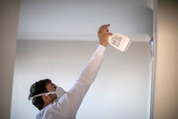 Best Mold Damage Repair  in Esko, MN
