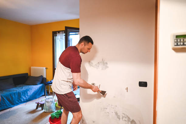 Best Fast Mold Removal  in Esko, MN